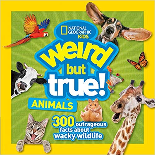 Nat Geo: Weird but True! Animals