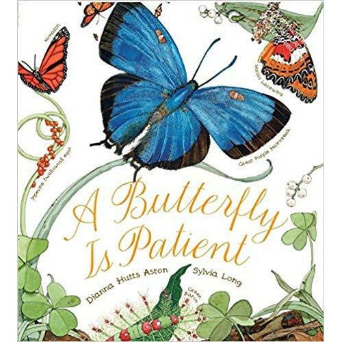 A Butterfly is Patient