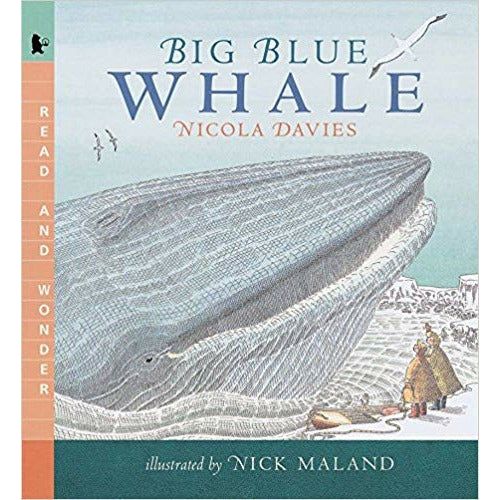Big Blue Whale