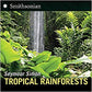 Tropical Rainforests