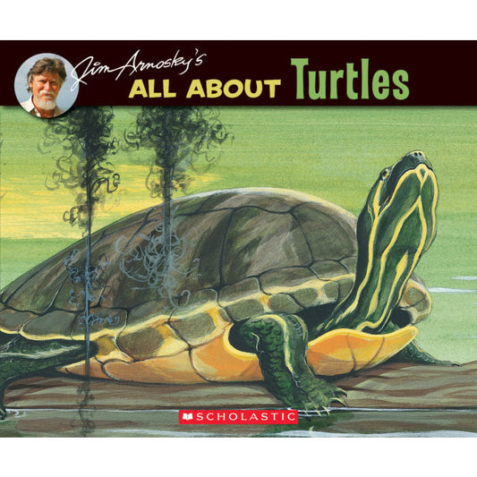 All About Turtles