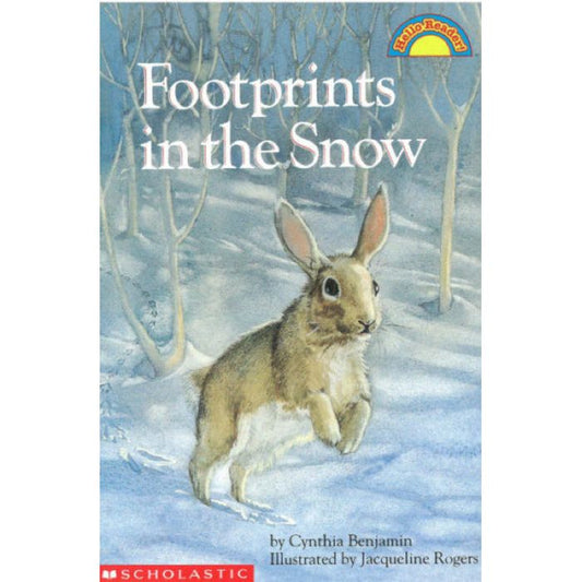 Footprints in the Snow