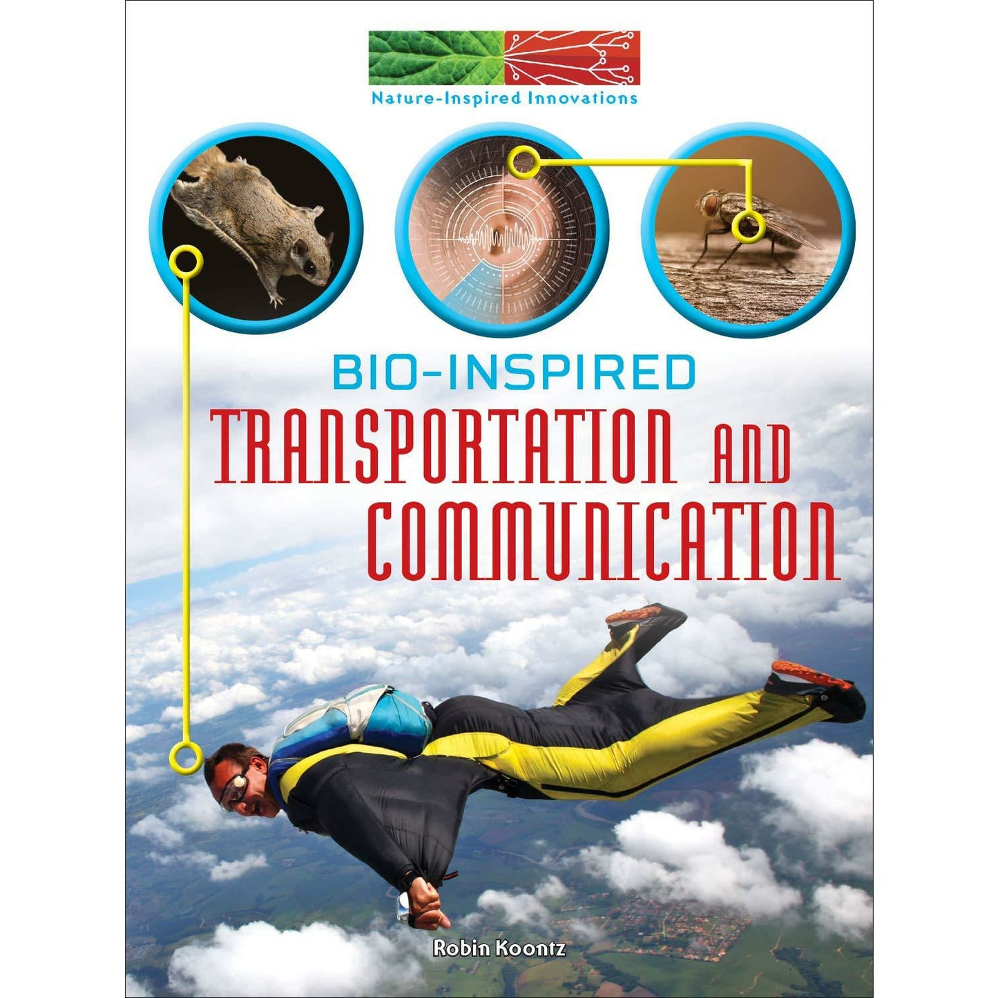 Bio-Inspired Transportation and Communication