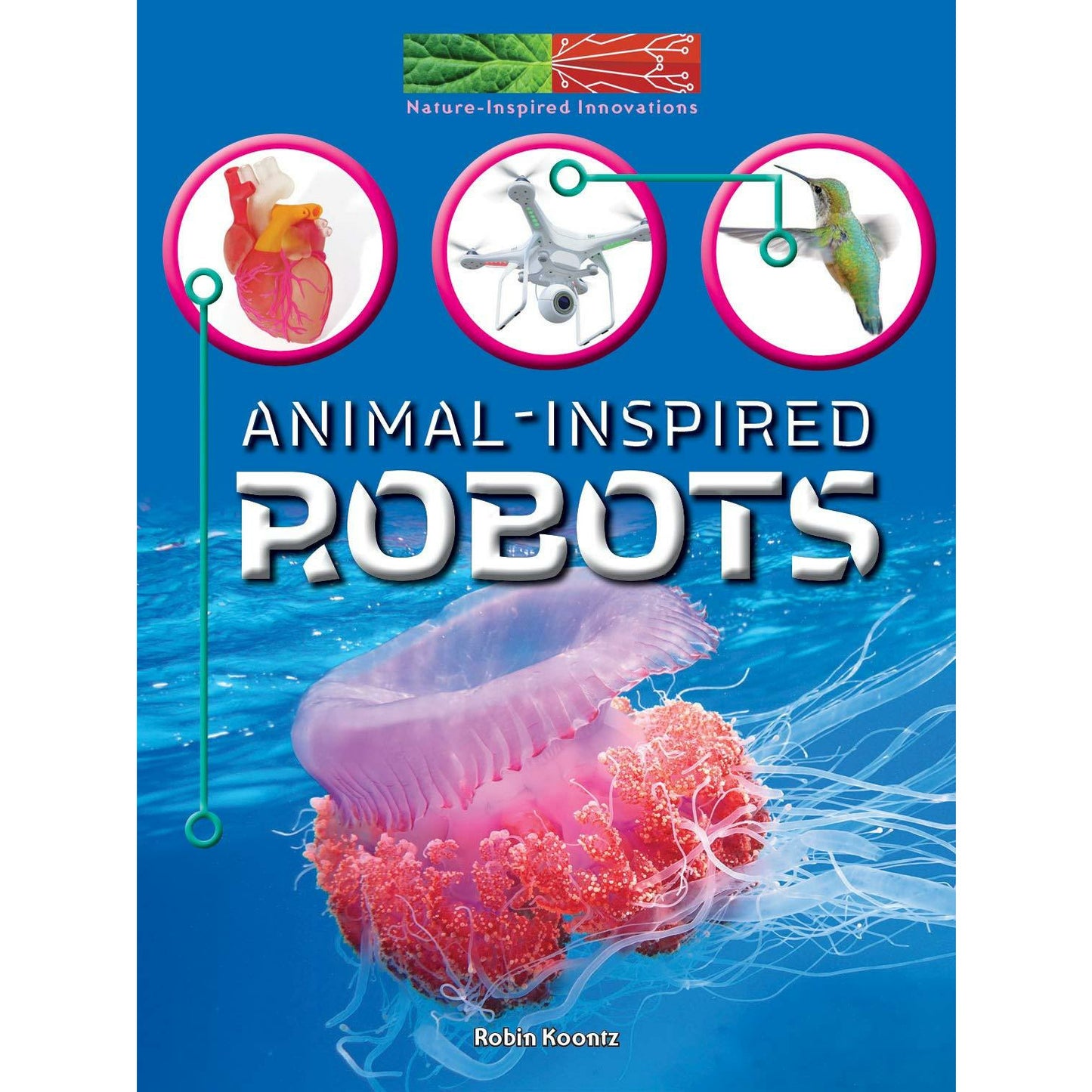 Animal-Inspired Robots