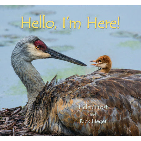 Hello, I'm Here!-HC