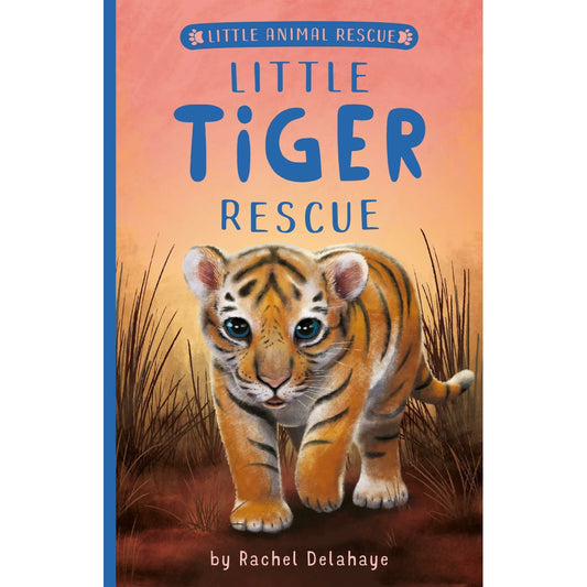 Little Animal Rescue: Little Tiger Rescue