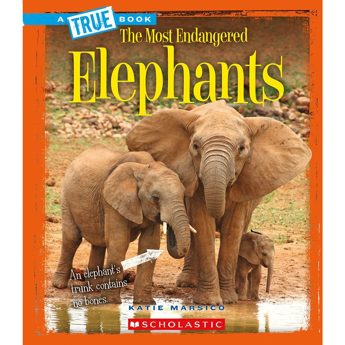 A True Book- Elephants