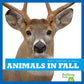 Animals in Fall ( What Happens in Fall? )