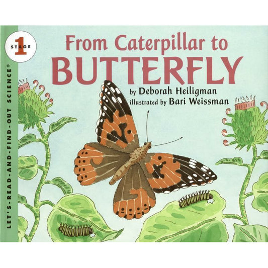 From Caterpillar to Butterfly (Big Book)