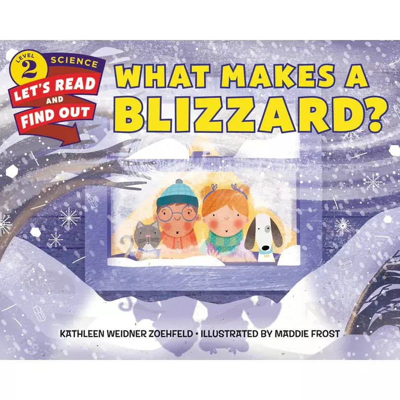 What Makes a Blizzard?