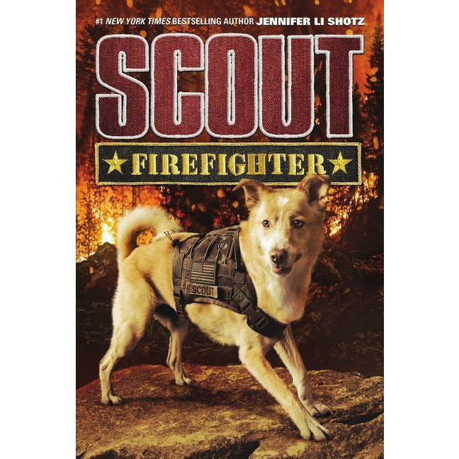 Scout: Firefighter