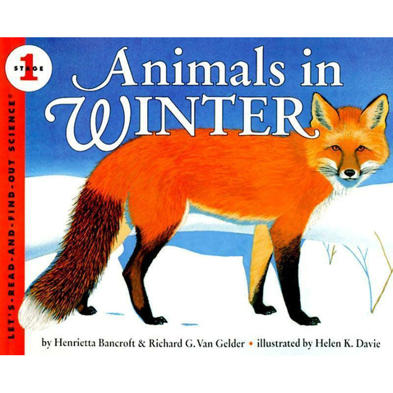 Animals in Winter