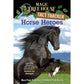 Fact Tracker: Horse Heroes