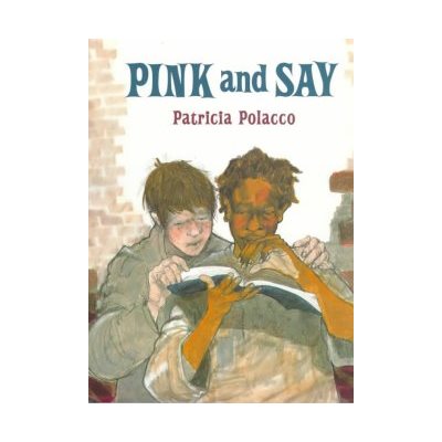 Pink and Say - Hardcover