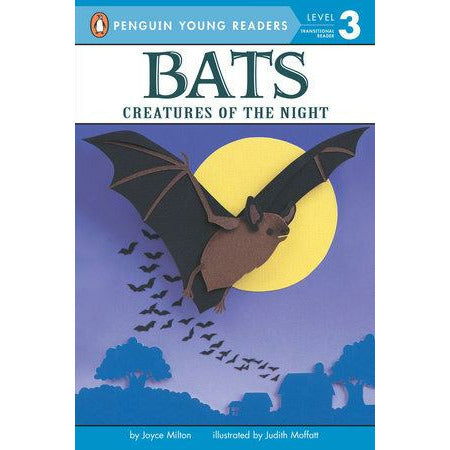 Bats Creatures Of The Night