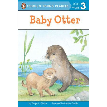 Baby Otter