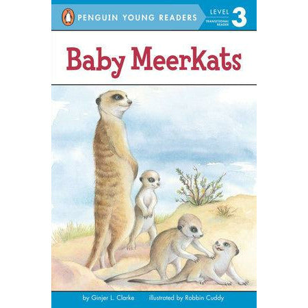 Baby Meerkats