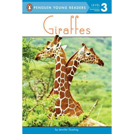 Giraffes