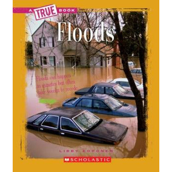 A True Book- Floods