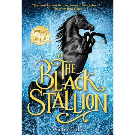 The Black Stallion