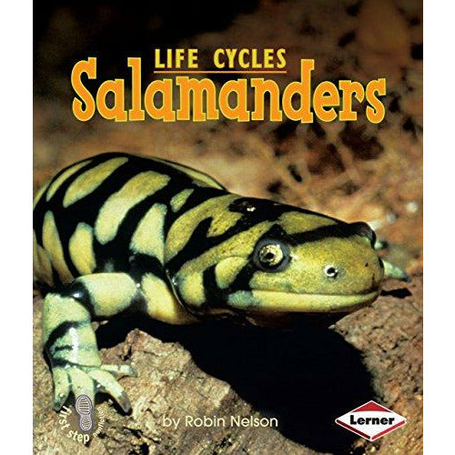 Salamanders