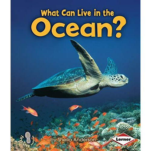 What Can Live In The Ocean?