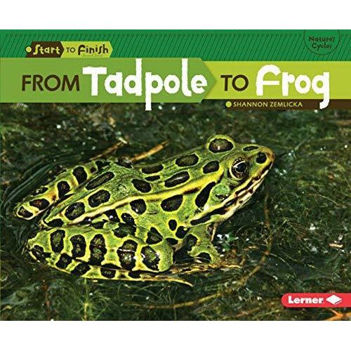 From Tadpole to Frog