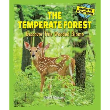 The Temperate Forest Discover This Wooded Biome