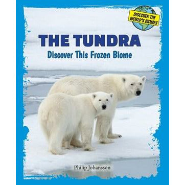 The Tundra Discover This Frozen Biome