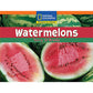National Geographic: Windows on Literacy Watermelons