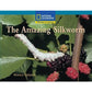 National Geographic: Windows on Literacy: The Amazing Silkworm