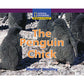 National Geographic: Windows on Literacy: The Penguin Chick
