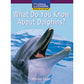 National Geographic: Windows on Literacy: What Do You Know About Dolphins?