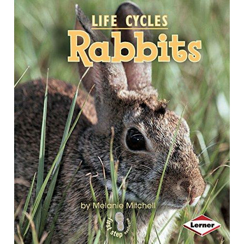 Rabbits