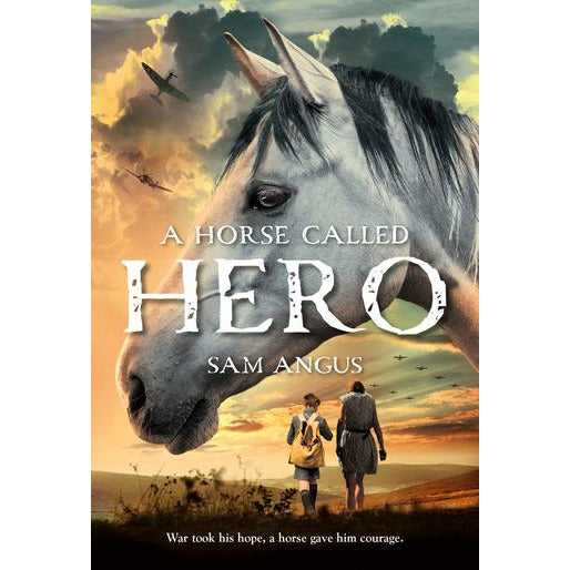 A Horse Called Hero