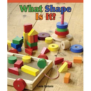 What Shape Is It