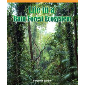 Life in a Rain Forest Ecosystem