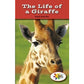 The Life of a Giraffe