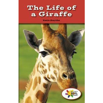 The Life of a Giraffe