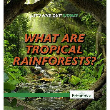 What Are Tropical Rainforests? Let's Find Out! Biomes