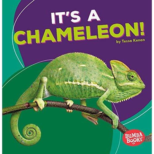 It's a Chameleon!