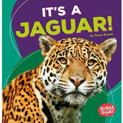 It's a Jaguar!