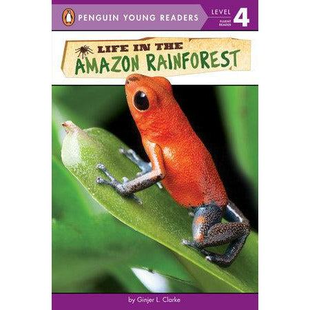 Life in the Amazon Rainforest