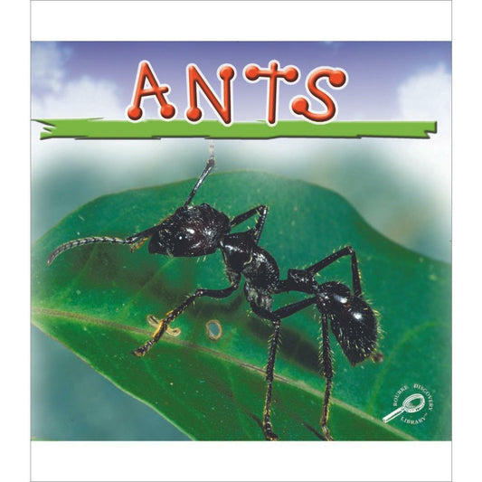 Ants