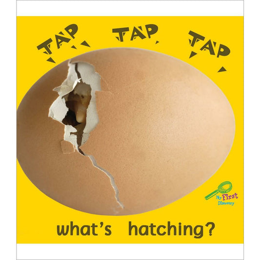 Tap, Tap, Tap… What's Hatching?