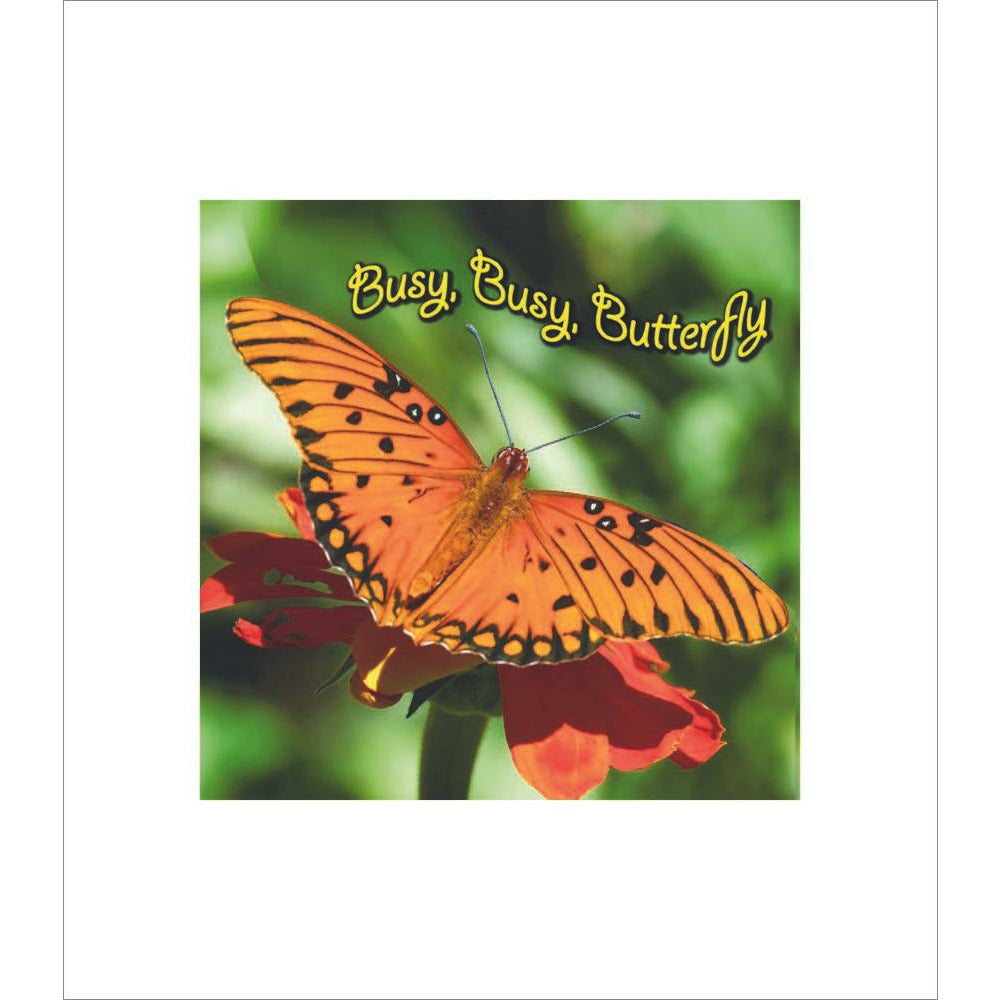 Busy, Busy Butterfly