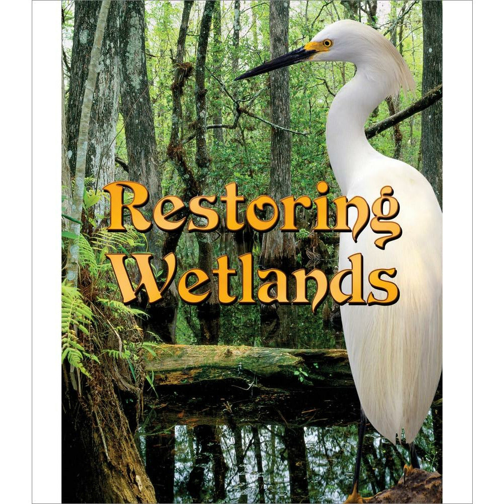 Restoring Wetlands