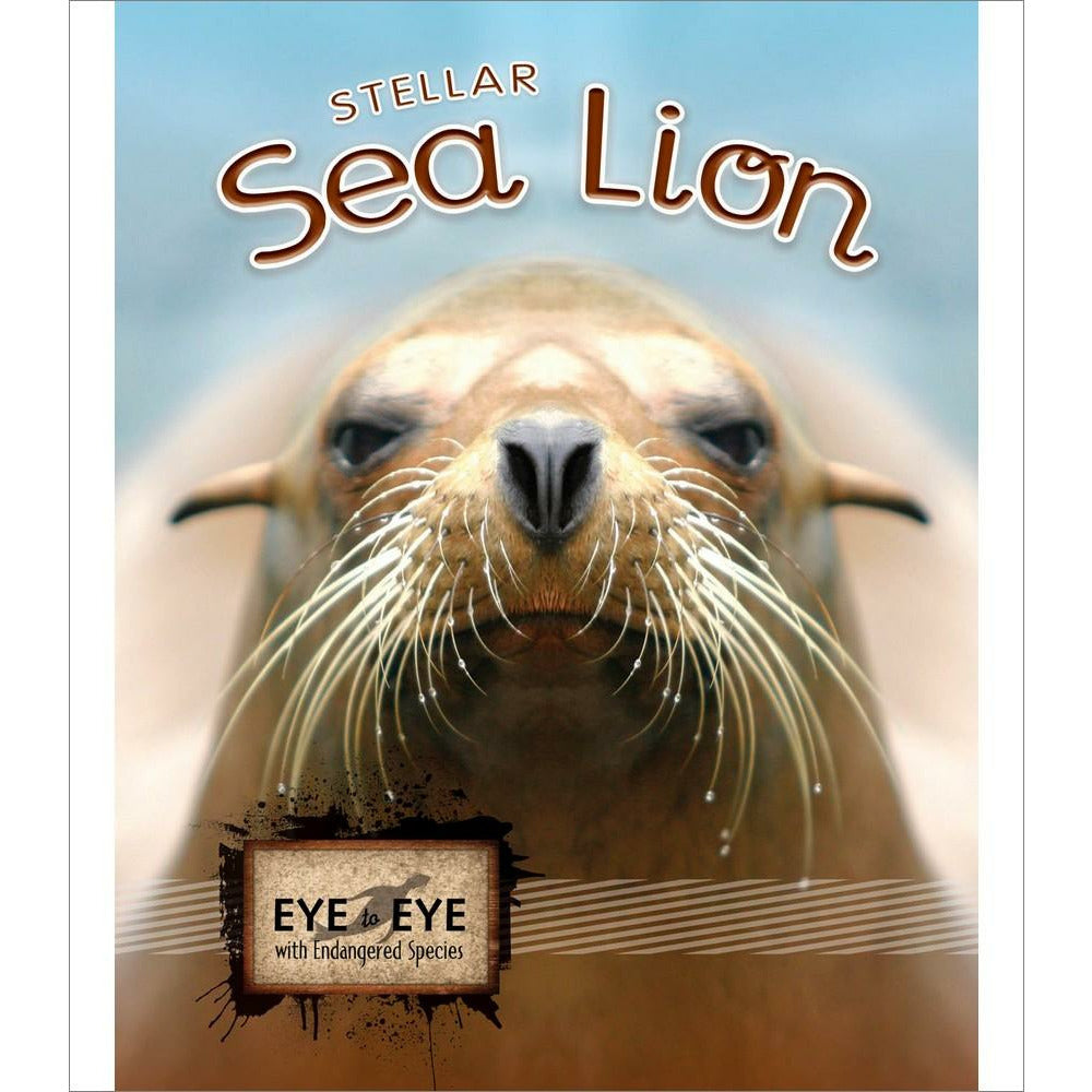 Stellar Sea Lions