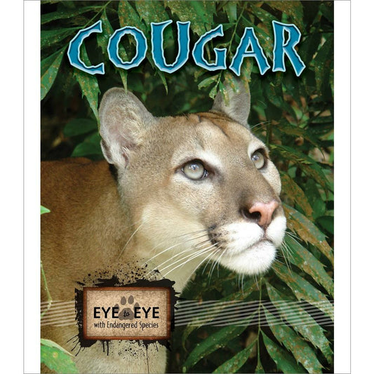 Cougars