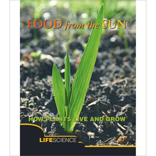 Food From The Sun